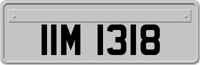 IIM1318