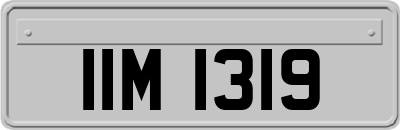 IIM1319