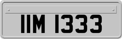 IIM1333
