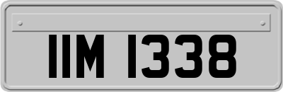 IIM1338
