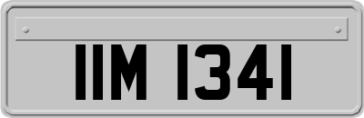 IIM1341