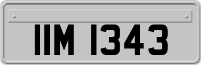IIM1343