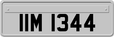 IIM1344