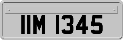 IIM1345