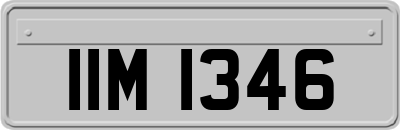 IIM1346