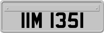 IIM1351