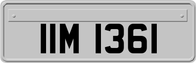 IIM1361