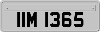 IIM1365