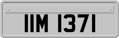 IIM1371