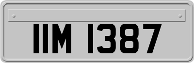 IIM1387