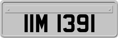 IIM1391