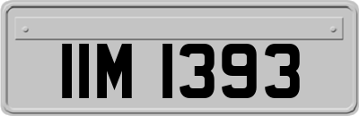 IIM1393