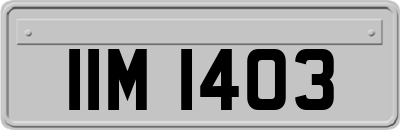 IIM1403