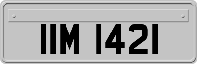 IIM1421