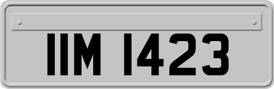 IIM1423