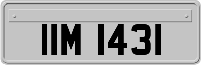 IIM1431