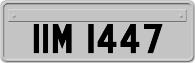 IIM1447