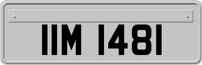 IIM1481