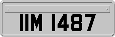 IIM1487