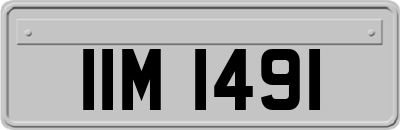 IIM1491