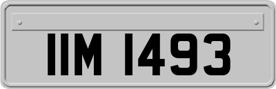 IIM1493