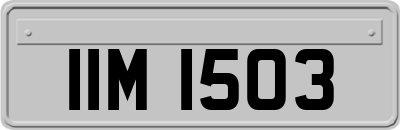 IIM1503