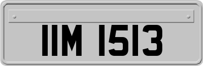 IIM1513