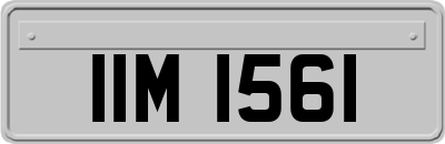 IIM1561