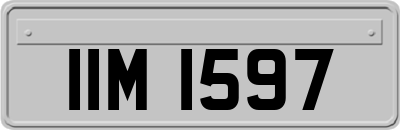 IIM1597
