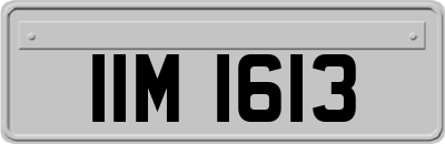 IIM1613
