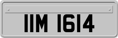 IIM1614