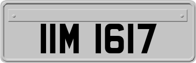 IIM1617