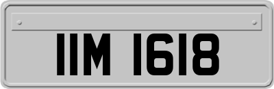 IIM1618