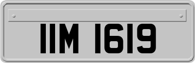 IIM1619