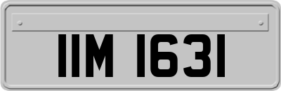 IIM1631