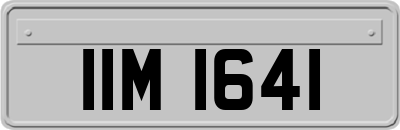 IIM1641