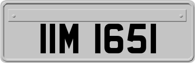 IIM1651