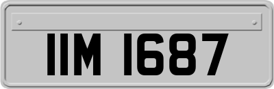 IIM1687