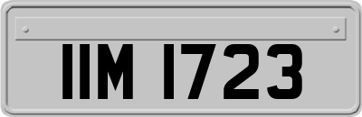 IIM1723