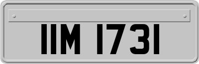 IIM1731