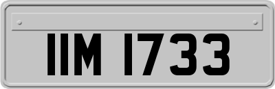 IIM1733