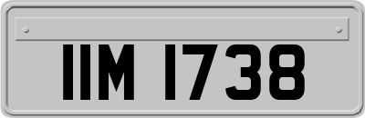 IIM1738