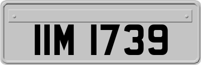 IIM1739