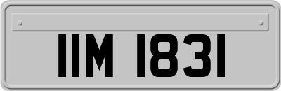IIM1831