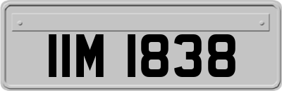 IIM1838