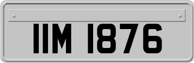 IIM1876