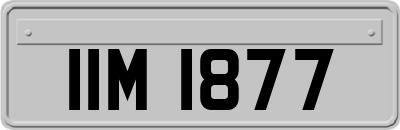 IIM1877