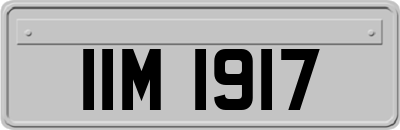 IIM1917