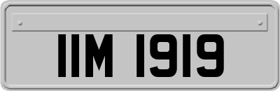 IIM1919