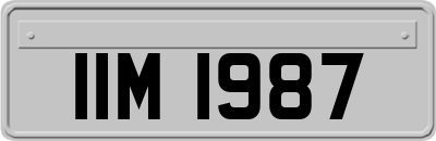 IIM1987